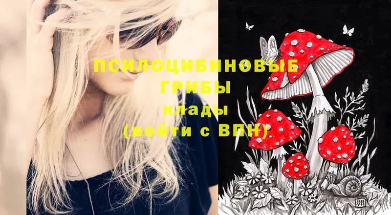 Галлюциногенные грибы Magic Shrooms  Электросталь 